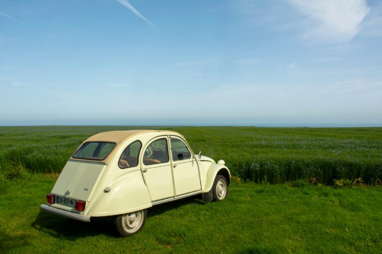#5 Les Français au volant : râleurs ou rois de la route?